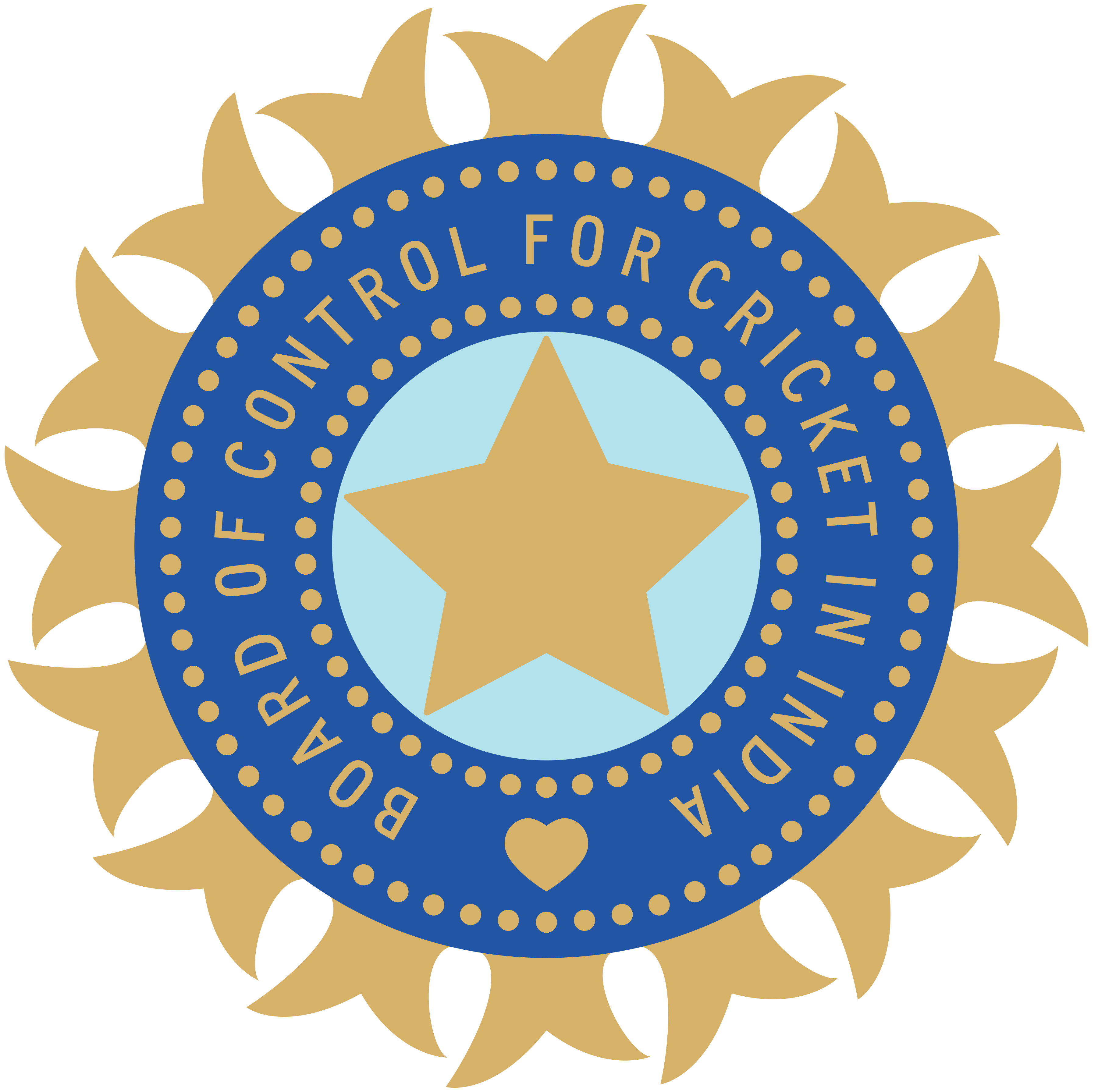 BCCI logo
